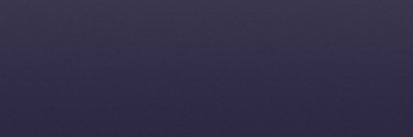 shl Profile Banner