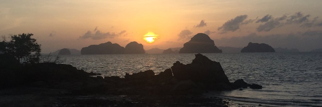 endawns's profile banner image