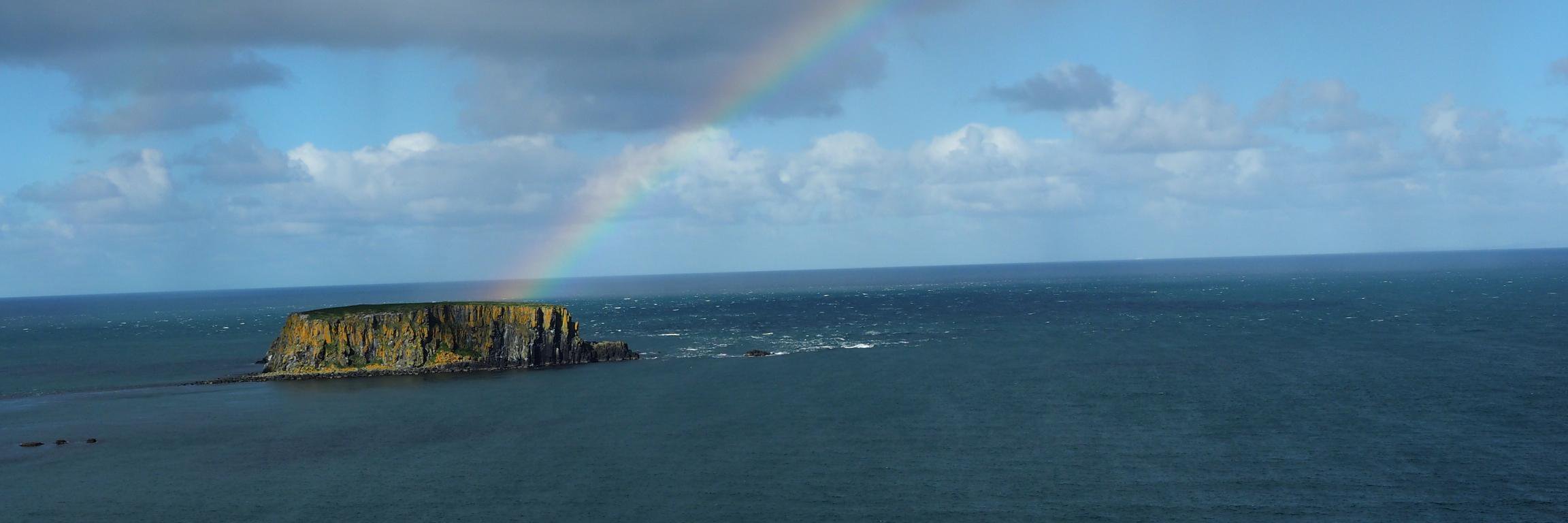 Trish 🐾 🇺🇦 banner