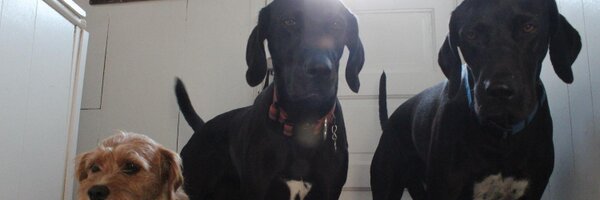 ry_garr Profile Banner