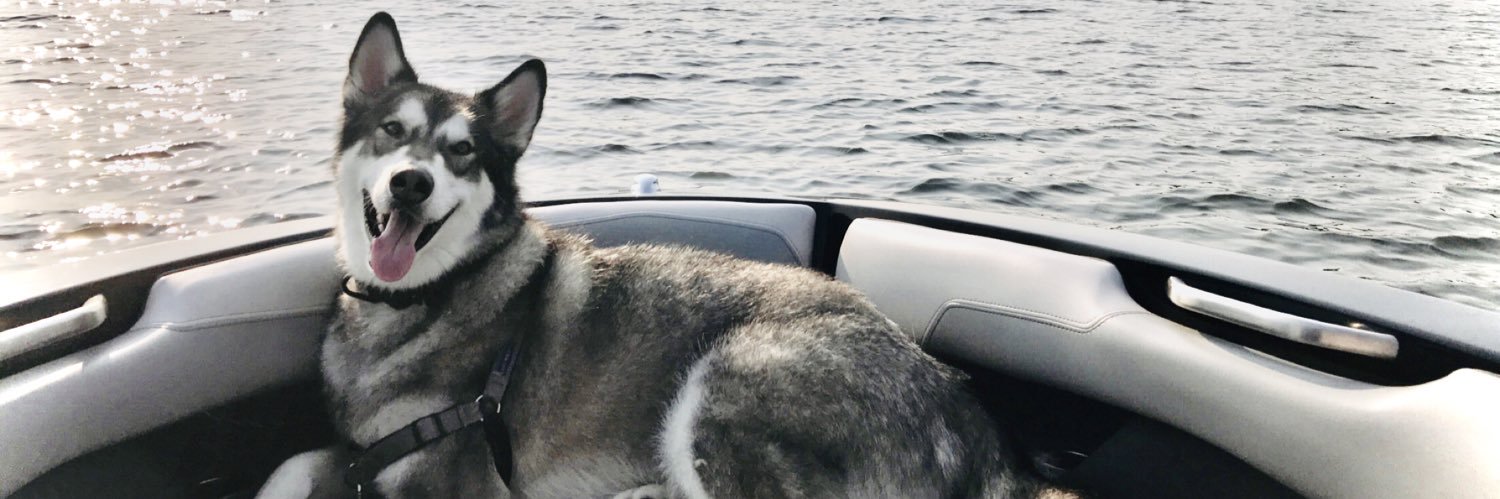 TylerSensky's profile banner image