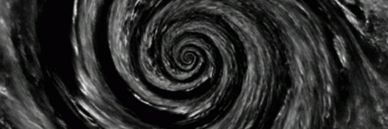 R 🕊🇪🇺 🇬🇧 #FBPE #GeneralElectionNow #ToriesOut banner