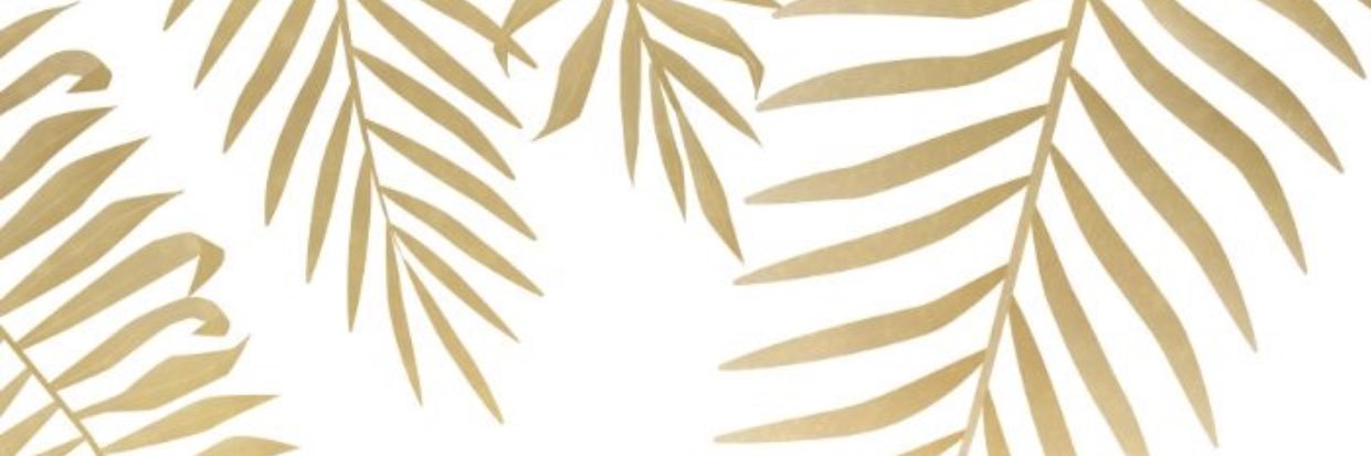 emilyeaf's profile banner image