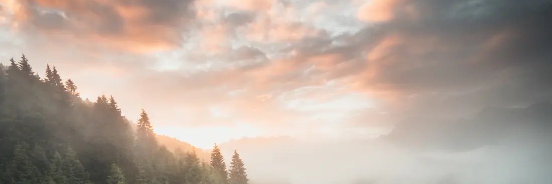 hallonpajj's profile banner image
