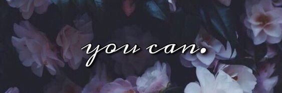 TiffanyNoviski's profile banner image