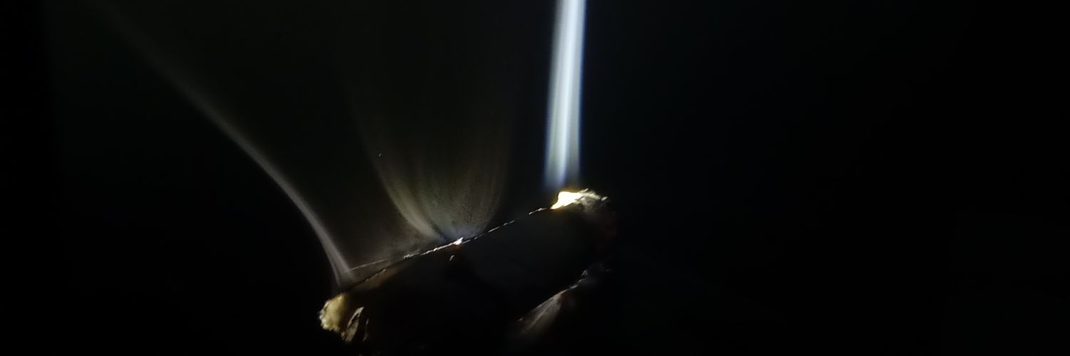 potato, the skateshop⛩️✨ banner