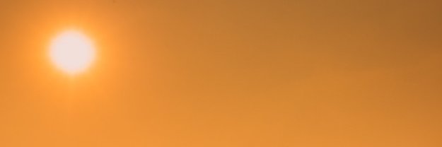 Annina banner