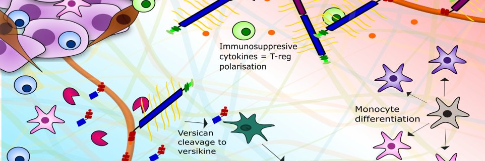 Oliver Pearce banner