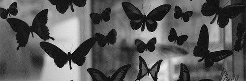 CONSTANZA_AN's profile banner image