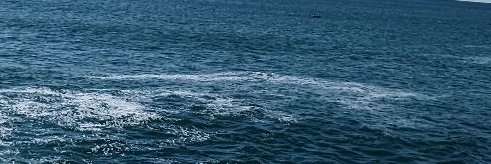 wkm@低浮上 banner