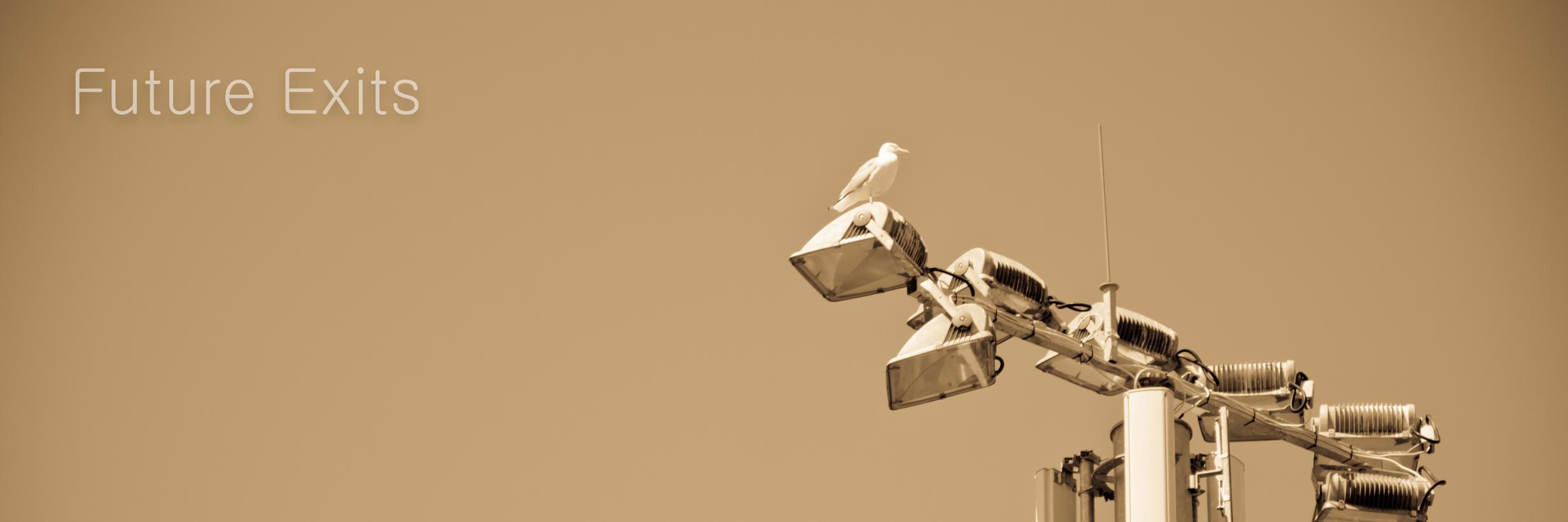 RGFutureExits's profile banner image