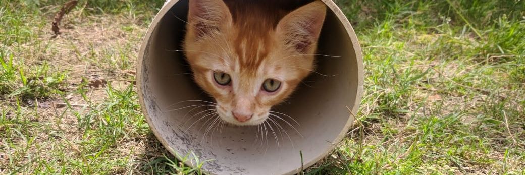 Phantom 248🍉 banner