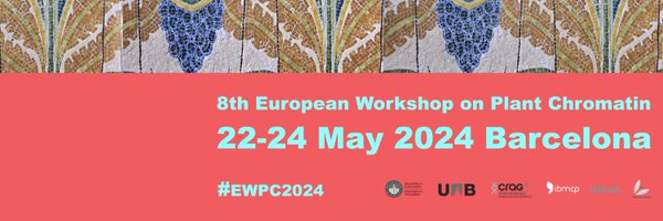 _EWPC_ Profile Banner