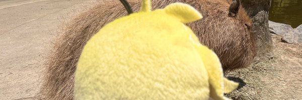 capynos Profile Banner