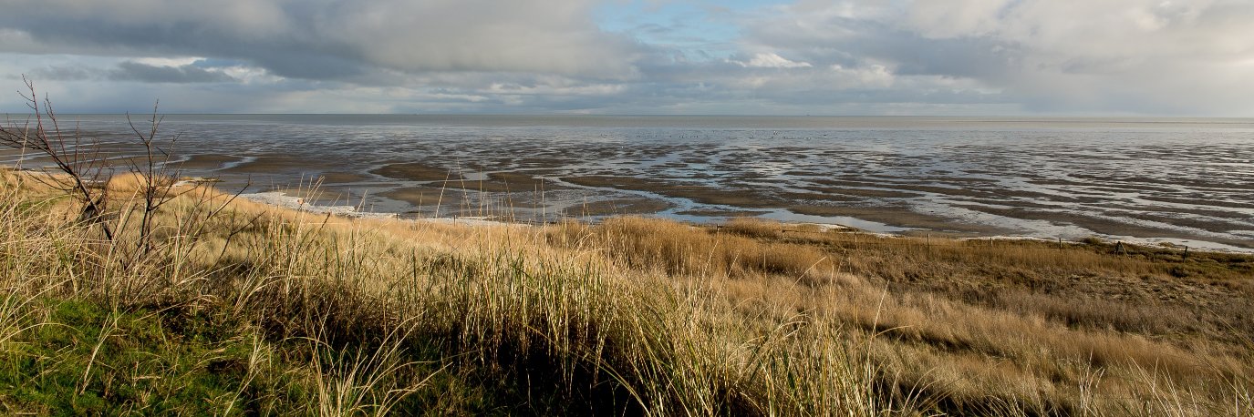 LPJMPeeters's profile banner image