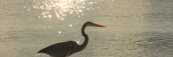 BradentonPatch's profile banner image