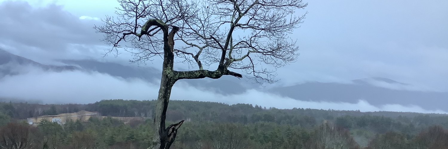 ebunaes's profile banner image