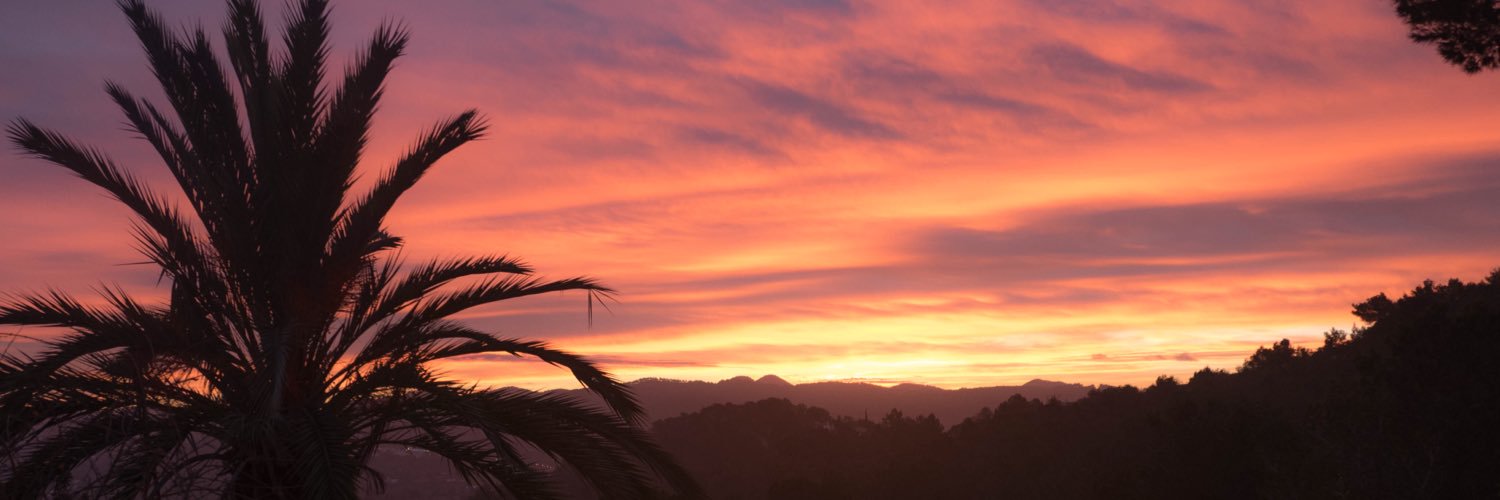 joniofir's profile banner image