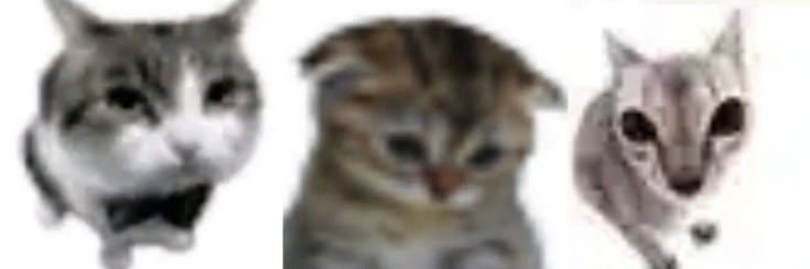 sere banner