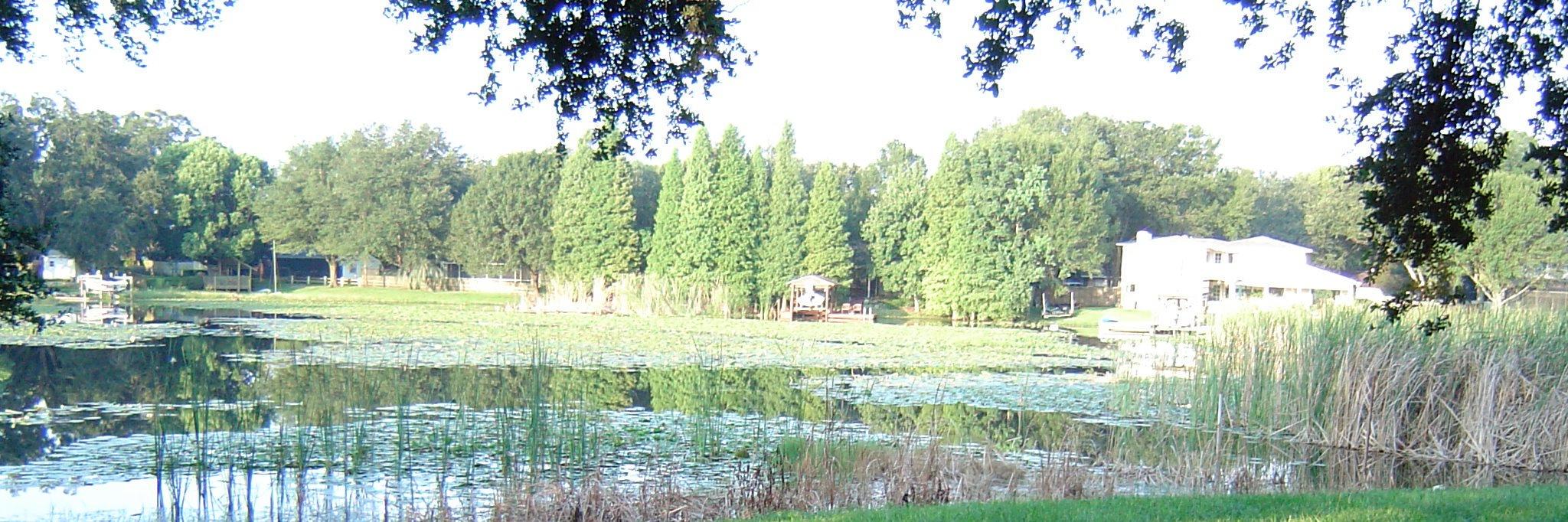 CwoodPatch's profile banner image