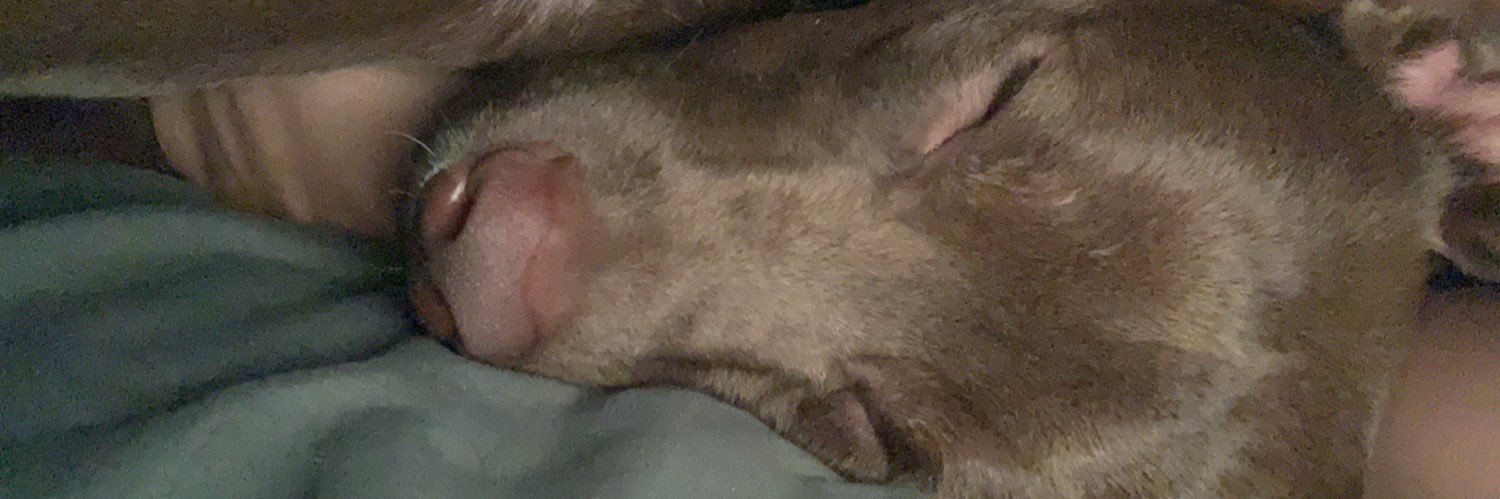 thtmexicanuknow's profile banner image