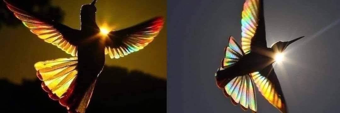 Desirekary's profile banner image