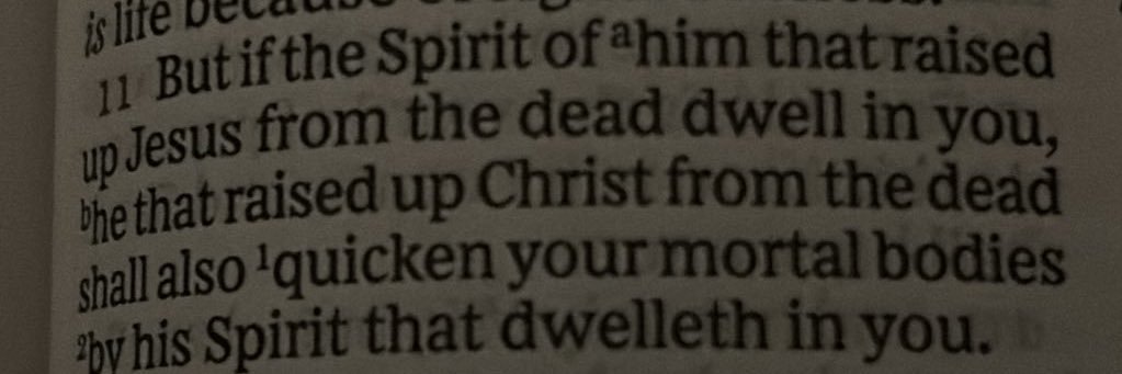 TruthGuy 🇺🇸 banner