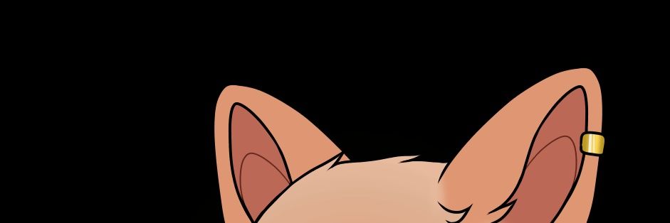 Taj's banner