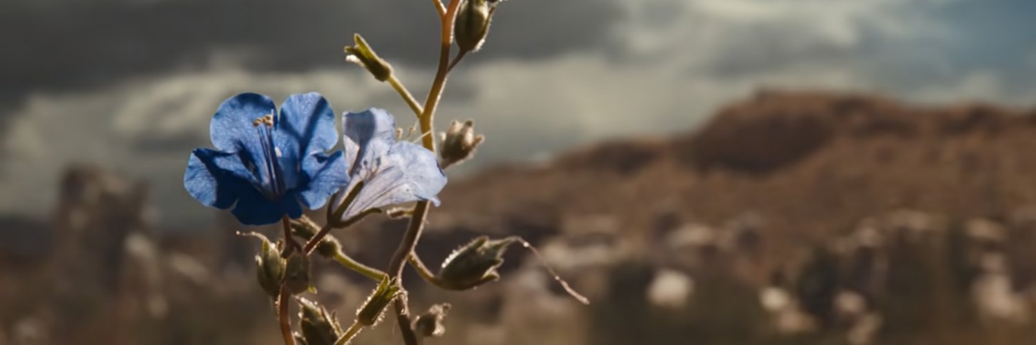 alexrainbow13's profile banner image