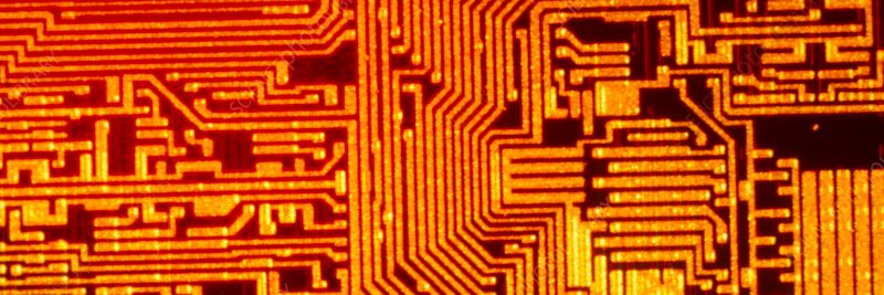 SiliconFly's banner