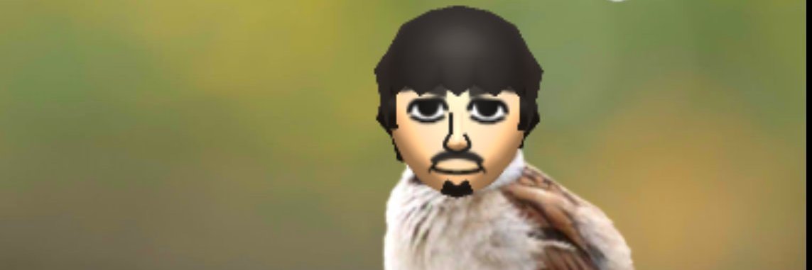 Slithered Jean 🟨⬜🟪⬛ banner