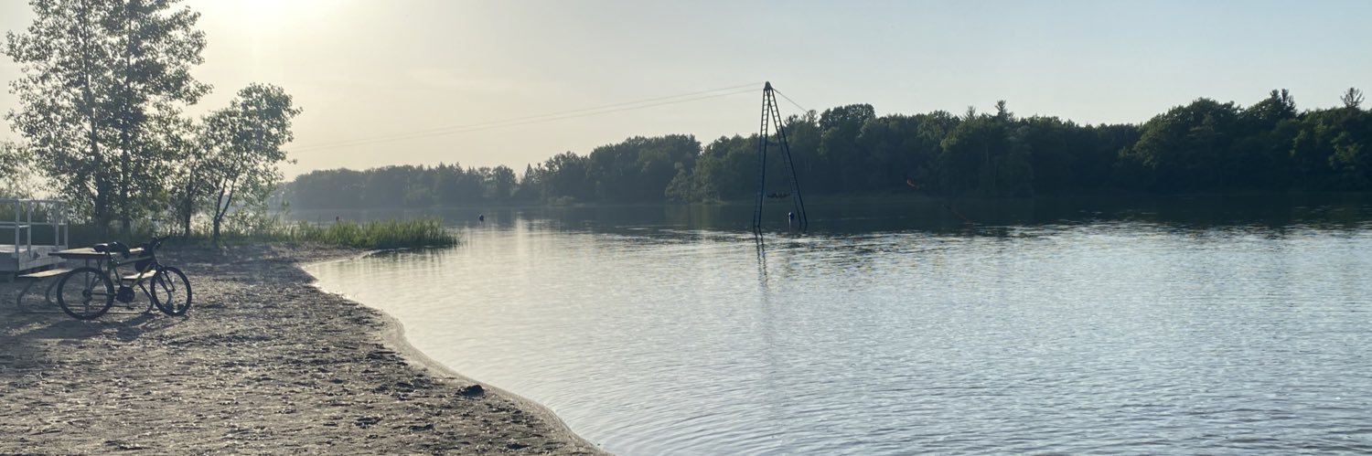 betafish's profile banner image