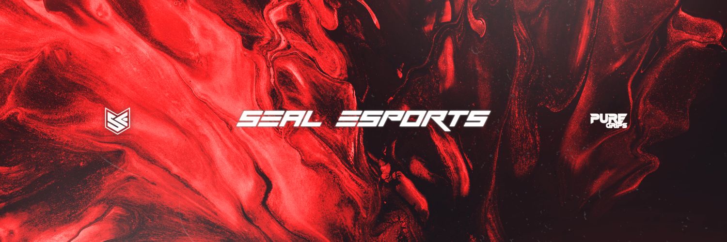 SE__Esports's profile banner image