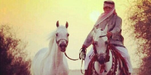 sultanma1525's profile banner image