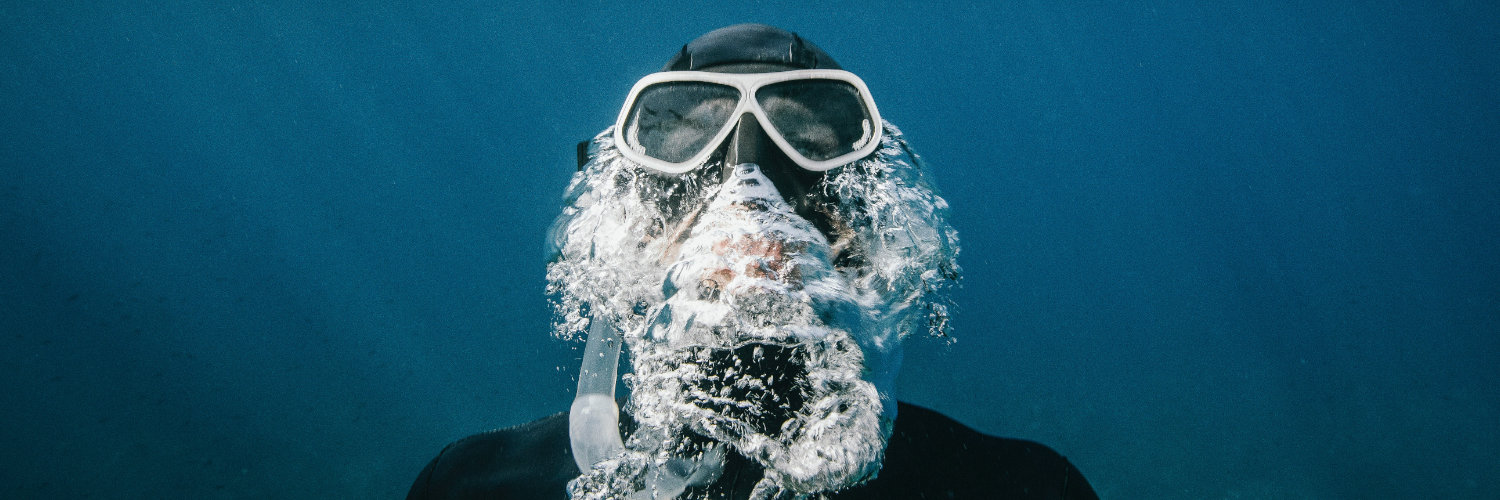 Webdata Solutions banner