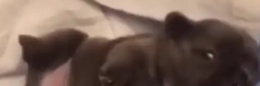 . banner