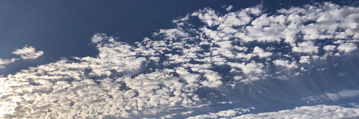 sayuri6j's profile banner image