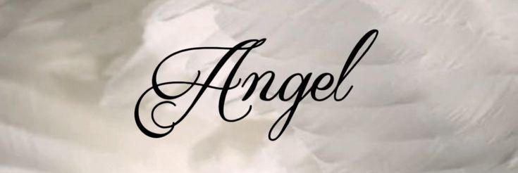 daisy banner