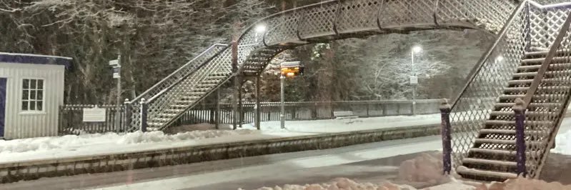 Zack Polanski celebrated austerity as a Lib Dem banner