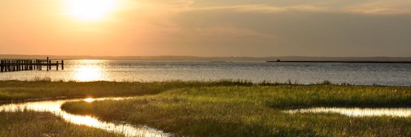 thegulftrust Profile Banner