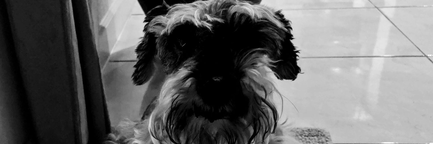 egonz011's profile banner image