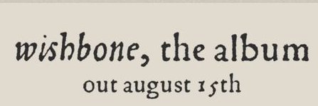 rayne banner