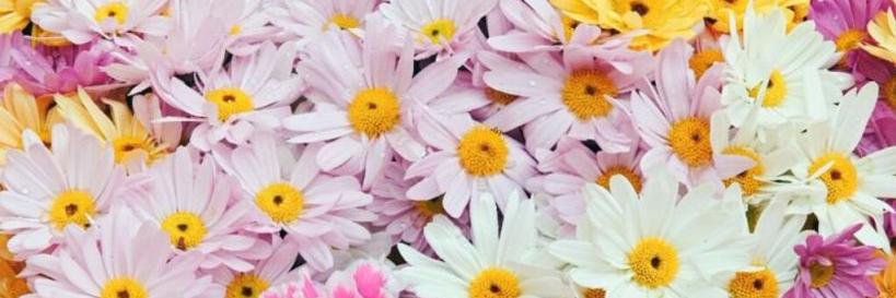 eeugeniat's profile banner image