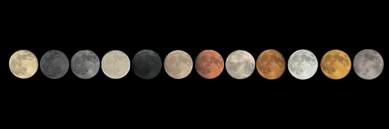 كانون الأول banner