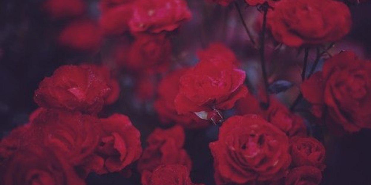 prichuda23's profile banner image