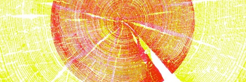 Lankelly Chase banner