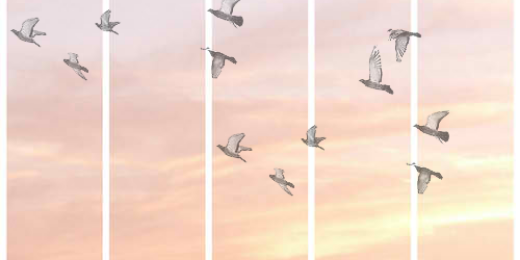 jeemorais_'s profile banner image
