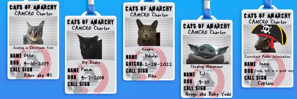 CATSOFANARCHYA1 Profile Banner