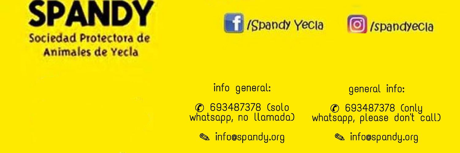 Spandy☆ banner