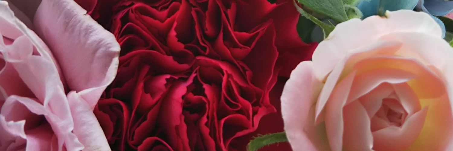 riecanta's profile banner image
